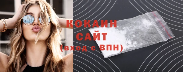 сатива Бронницы