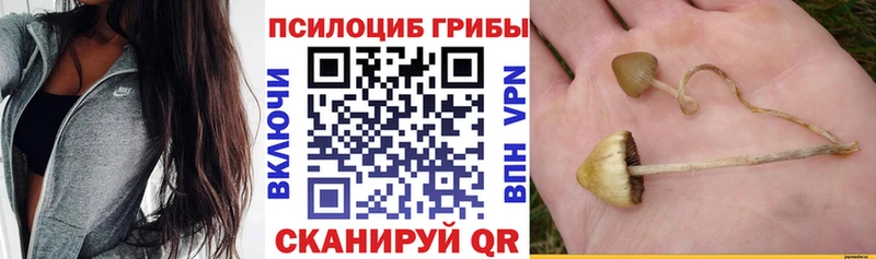 Псилоцибиновые грибы мухоморы  блэк спрут маркетплейс  Егорьевск 